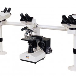 Multi-head Biological Microscope IMB-2130