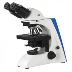 Fluorescent Microscope IMF-1110(240V)