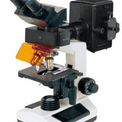 Fluorescent Microscope IMF-1130