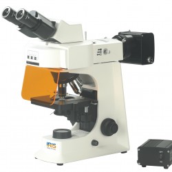 Fluorescent Microscope IMF-1210
