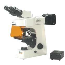 Fluorescent Microscope IMF-1220