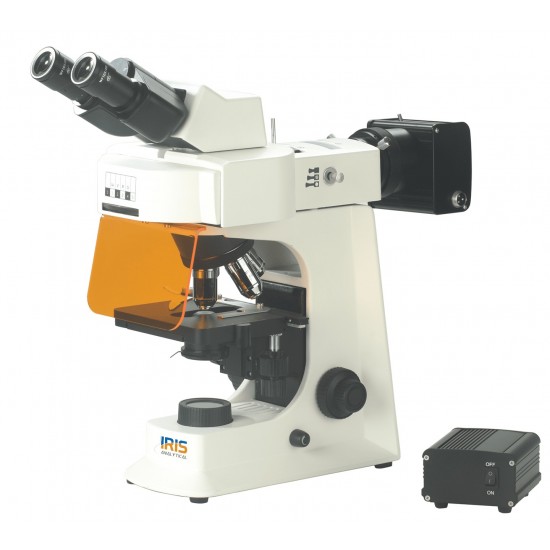 Fluorescent Microscope IMF-1220