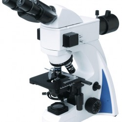 Fluorescent Microscope IMF-1240