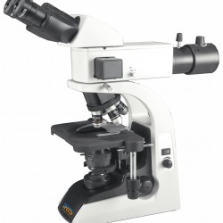 Fluorescent Microscope IMF-1320
