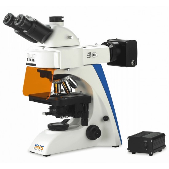 Fluorescent Microscope IMF-1340(100V)
