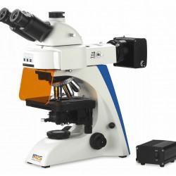 Fluorescent Microscope IMF-1480(240V)