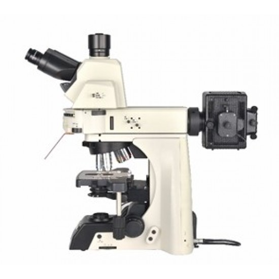 Fluorescent Microscope IMF-1540