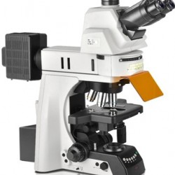 Fluorescent Microscope IMF-1560