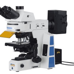 Fluorescent Microscope IMF-1580