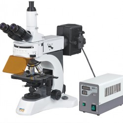 Upright Fluorescence Microscope IMF-2100