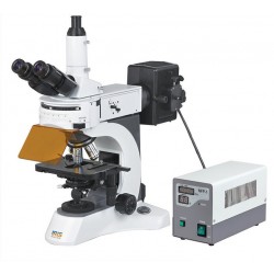 Upright Fluorescence Microscope IMF-2100