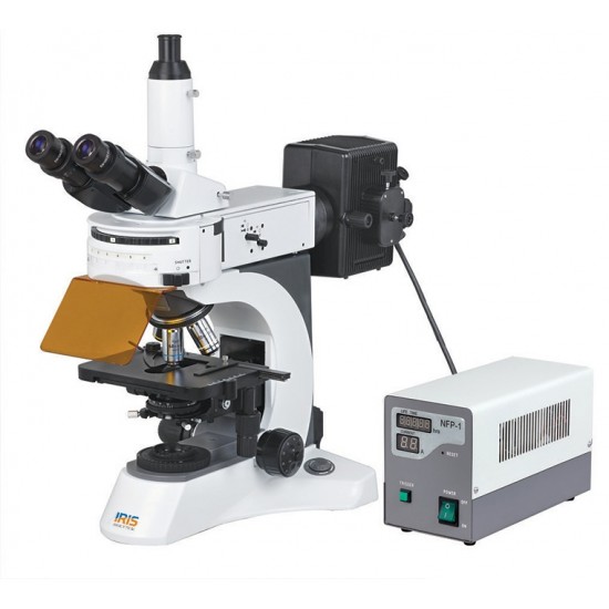 Upright Fluorescence Microscope IMF-2100
