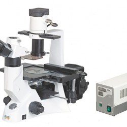 Inverted Fluorescence Microscope IMF-3100