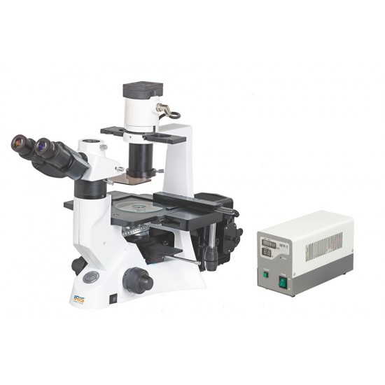 Inverted Fluorescence Microscope IMF-3100