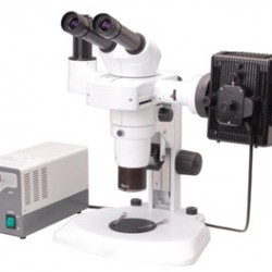 Fluorescent Zoom Stereo Microscope IMS-3225
