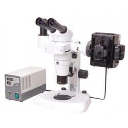 Fluorescent Zoom Stereo Microscope IMS-3225